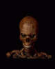 anim176220mobildesign.atw.hu_0496.gif
